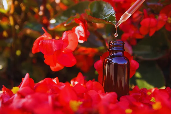 gota de remedios florales en la terapia floral de Bach