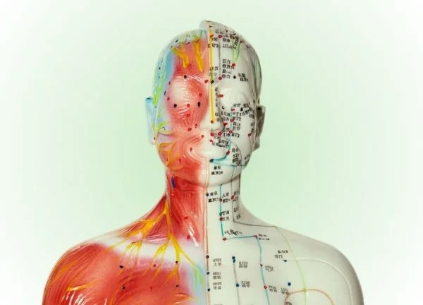 masaje facial japones acupresion
