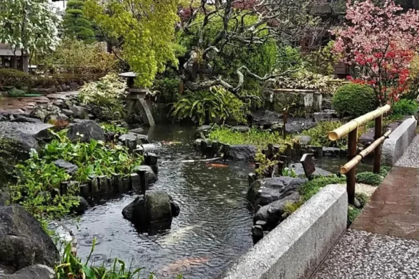 naturaleza en plena armoniía
