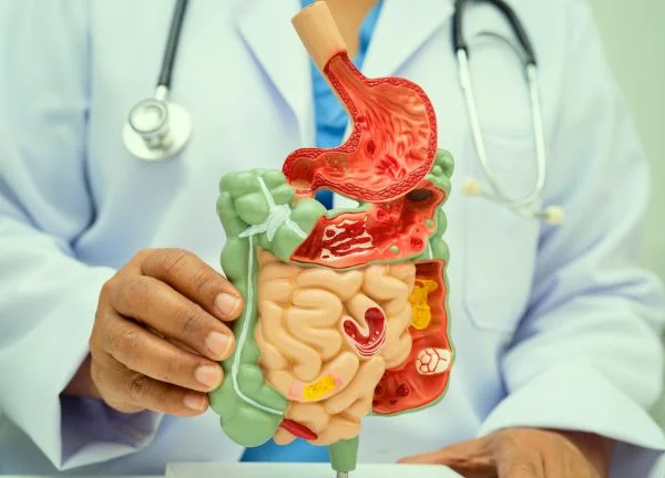 salud digestiva holística, programa de bienestar internacional