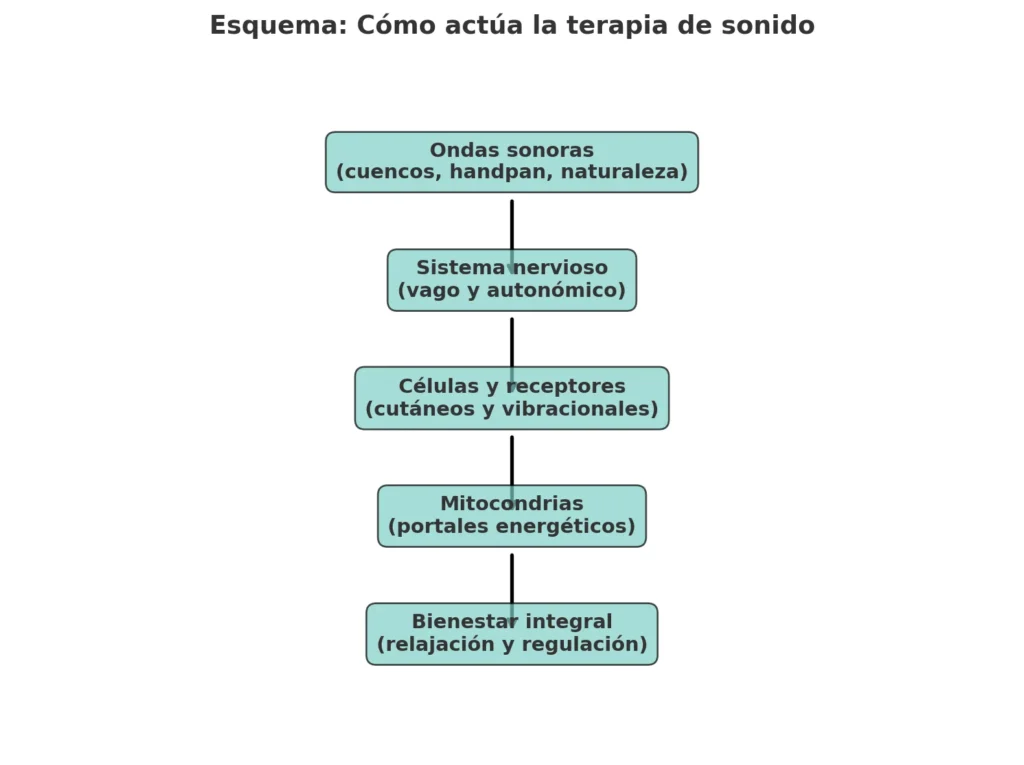 Esquema de como actua la terapia de sonido