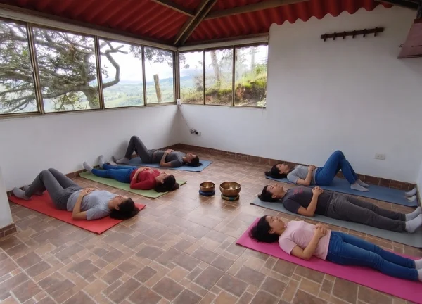 Sesión grupal de sonidos con cuencos y campestre