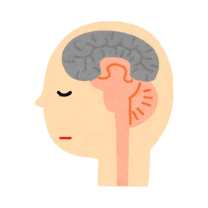somatotopia en reflexologia podal